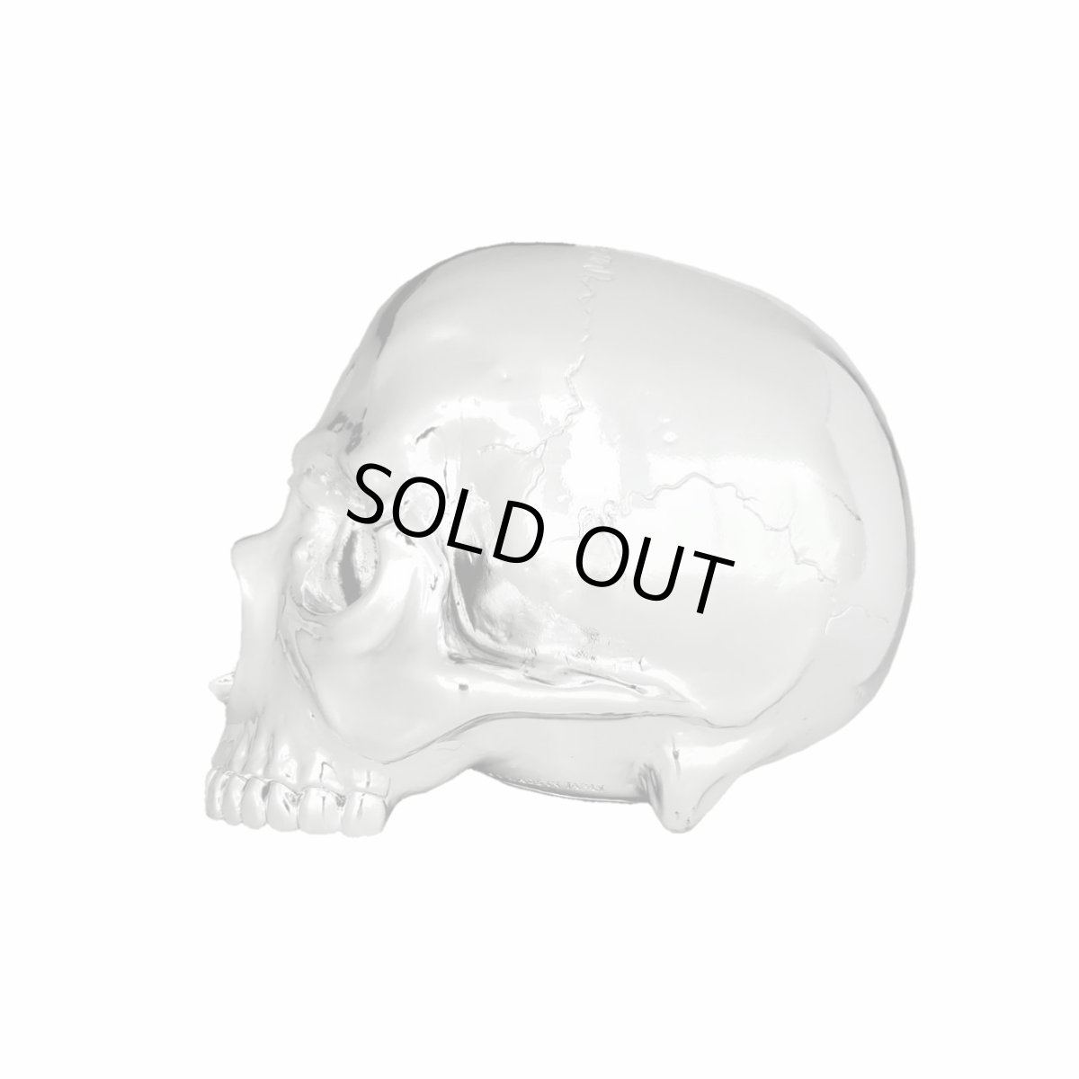 画像2: 1/1 SKULL HEAD CHROME SILVER Ver.  (2)
