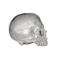 画像4: 1/1 SKULL HEAD CHROME SILVER Ver.  (4)