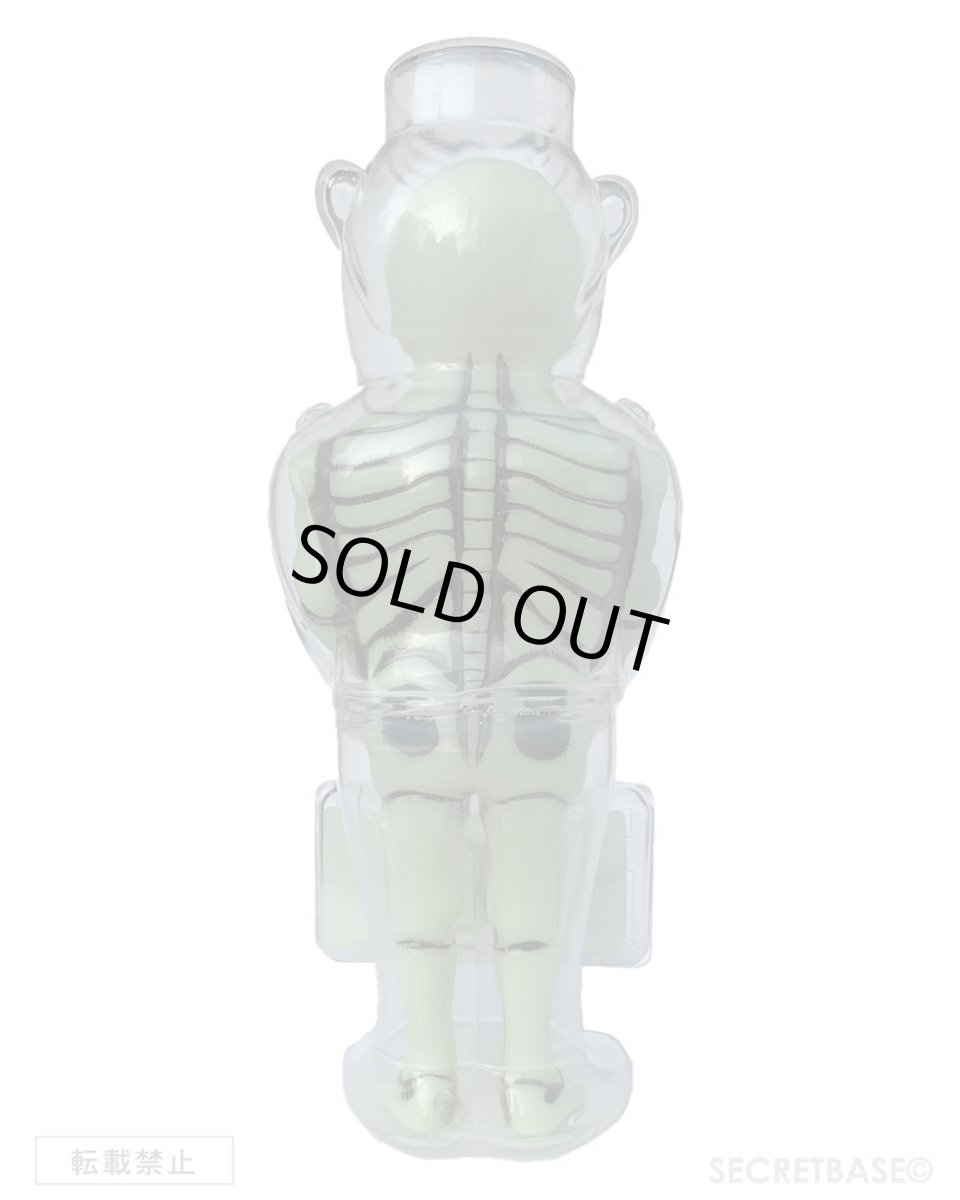 画像3: PORTER X-RAY CLEAR G.I.D (3)