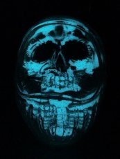 画像4:  DARUMA SKULL SB BLUE G.I.D (4)