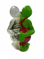 画像2: RAT FINK X-RAY FULL COLOR G.I.D MONSTER GREEN ver. (2)