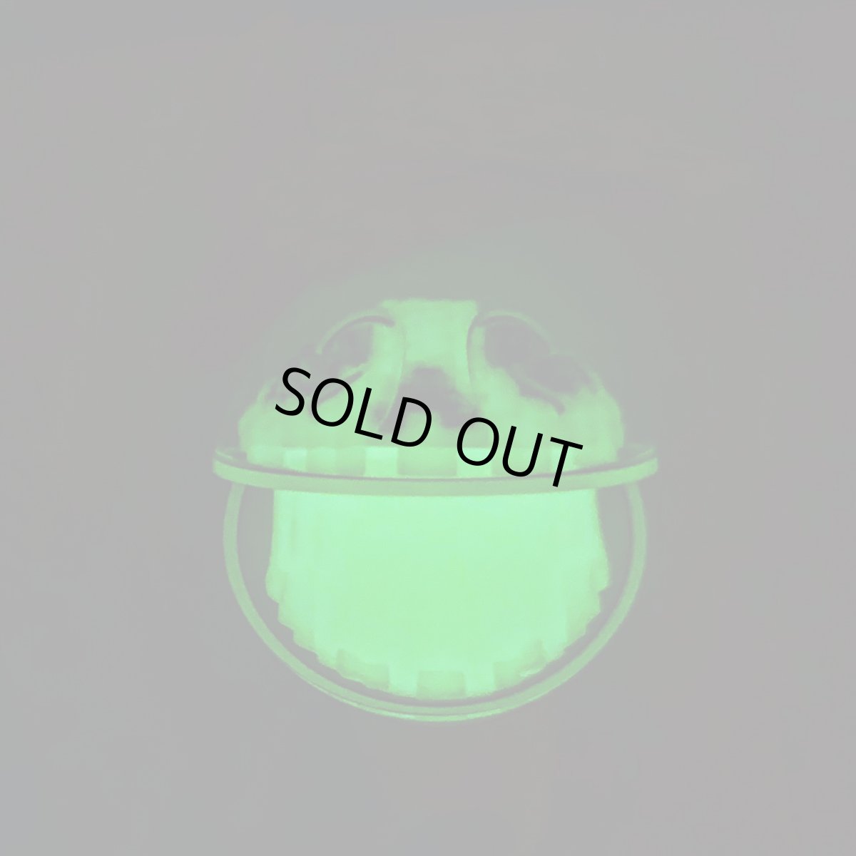 画像8: PAC-X-RAY G.I.D Ver. (8)