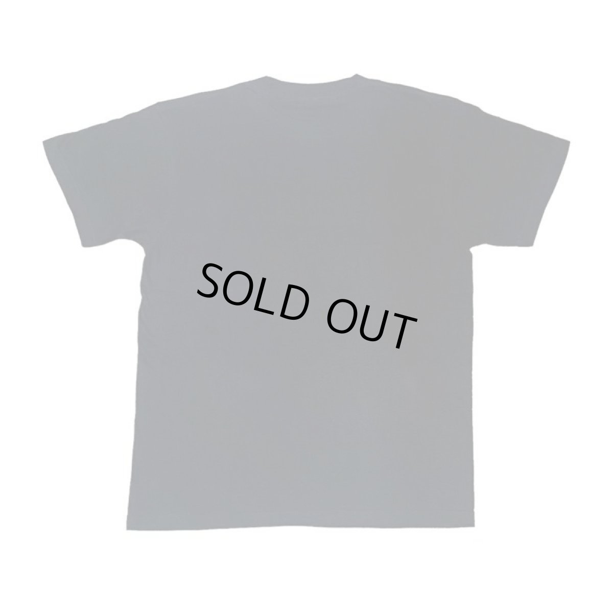 画像2: BUDDY別注 PEANUTS スヌーピー Tシャツ PEANUTS SECRETBASE限定カラー (2)