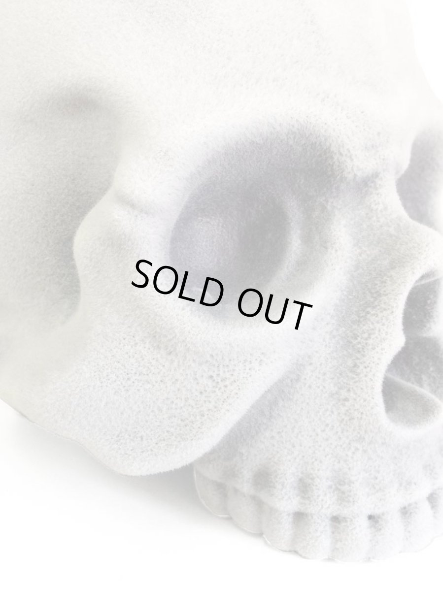 画像2: 1/1 SKULL HEAD FLOCKY (2)