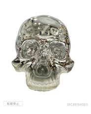 画像2: 1/1 SKULL HEAD CHROME SILVER FADE Ver. (2)