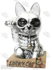 画像6: LUCKY CAT X-RAY WHITE (6)