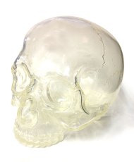 画像1: 1/1 SKULL HEAD SECRETBASE CLEAR (1)