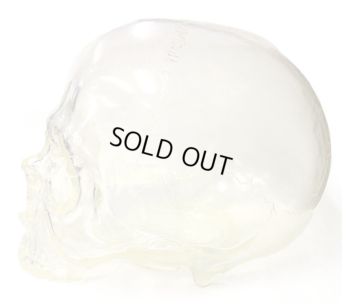 画像3: 1/1 SKULL HEAD SECRETBASE CLEAR (3)