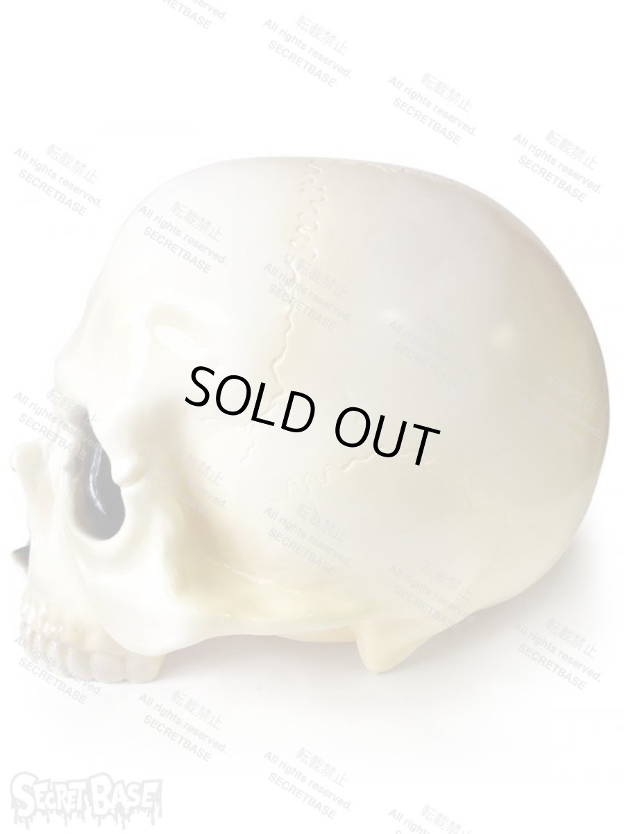 画像2: 骸骨頭 1/1 SKULL HEAD (2)