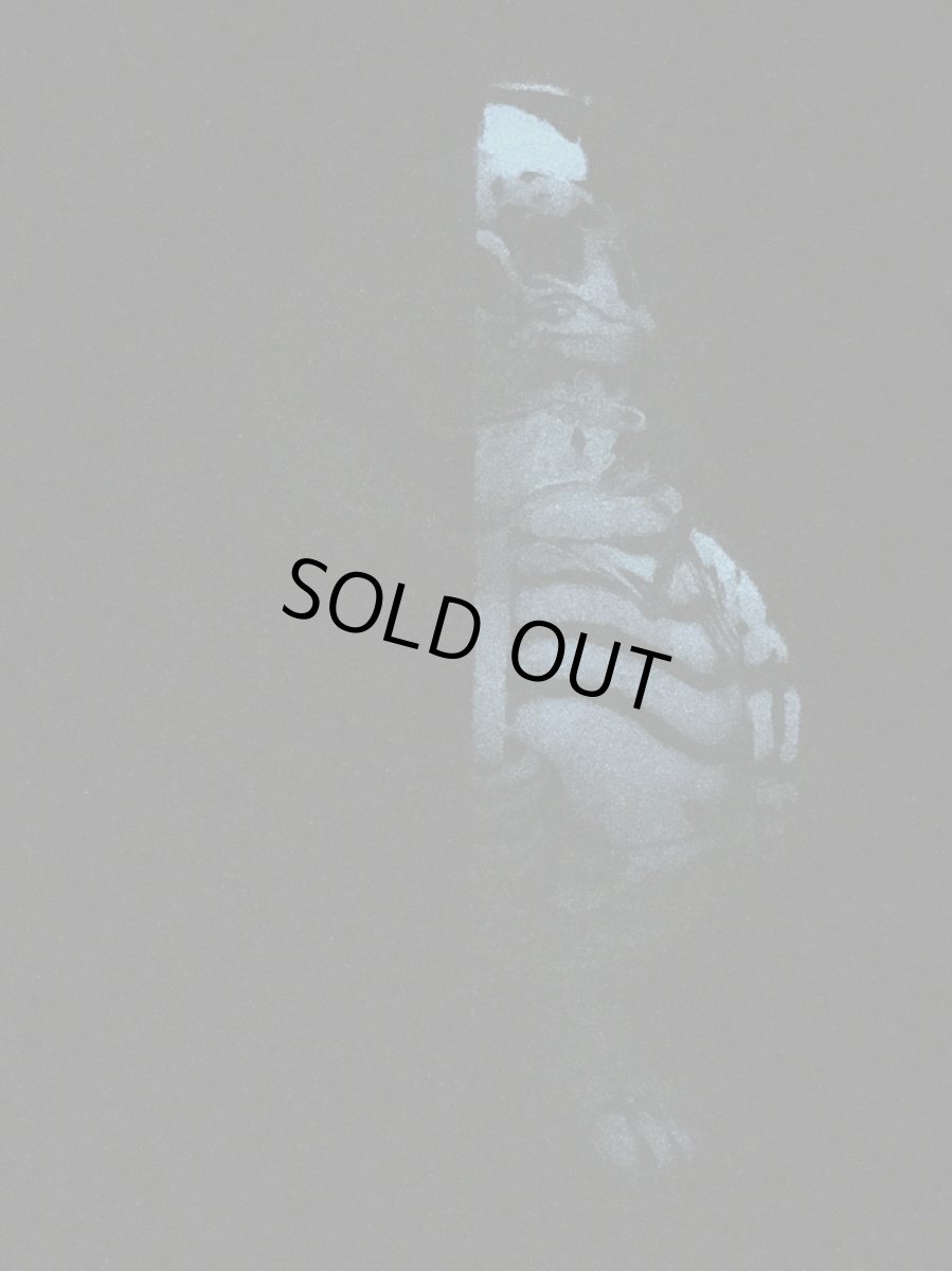 画像3: X-RAY MC SUPER SIZED LTD. Ver. (3)