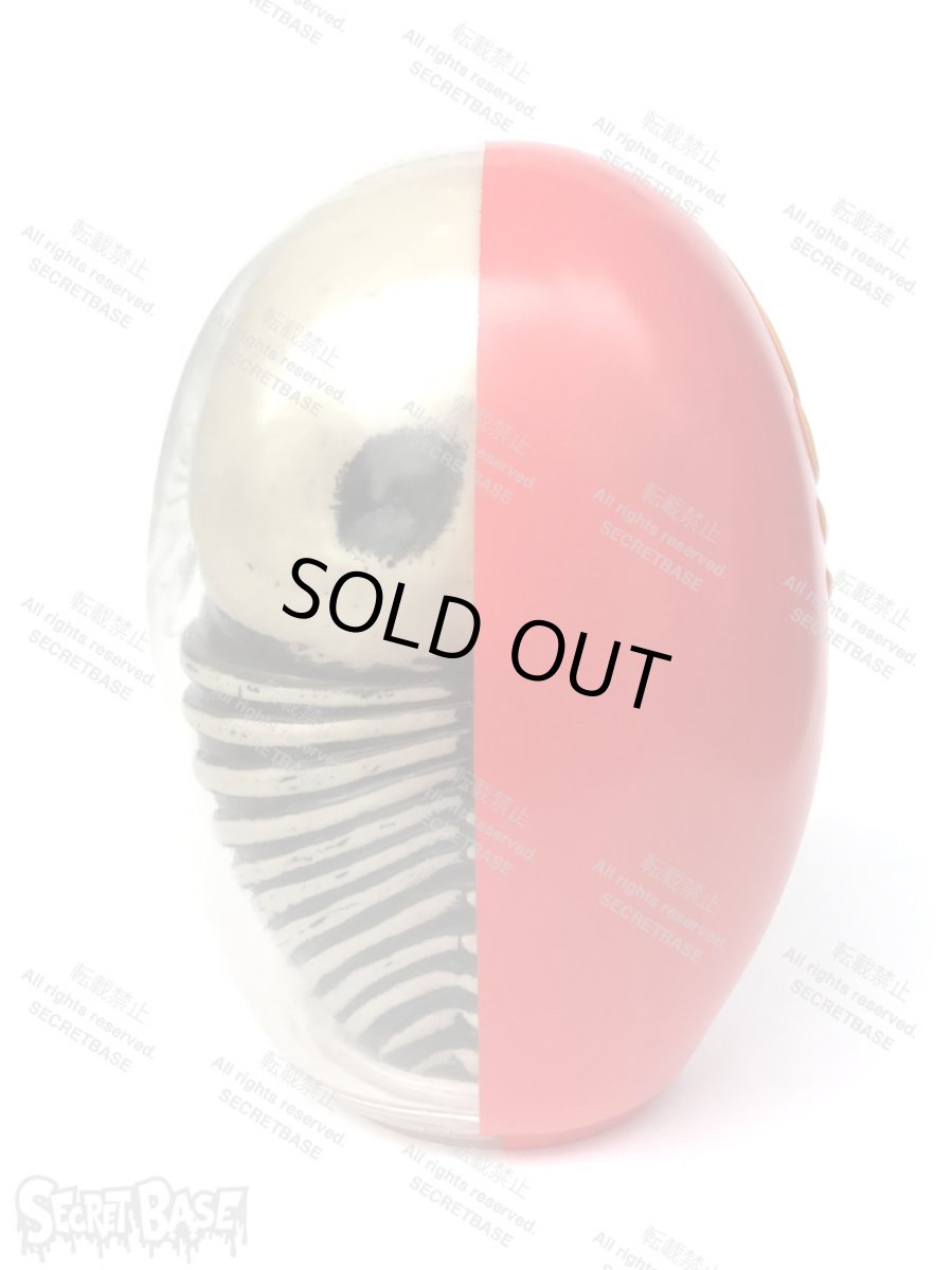 画像4: DARUMA SKULL X-RAY FULL COLOR RED (4)