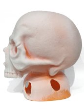 画像3: ペイント用 1/1 SKULL HEAD (3)