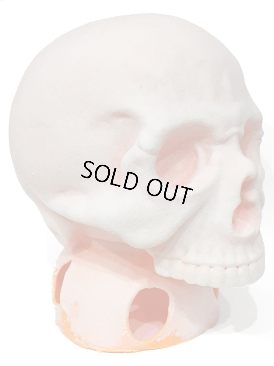 画像2: ペイント用 1/1 SKULL HEAD (2)