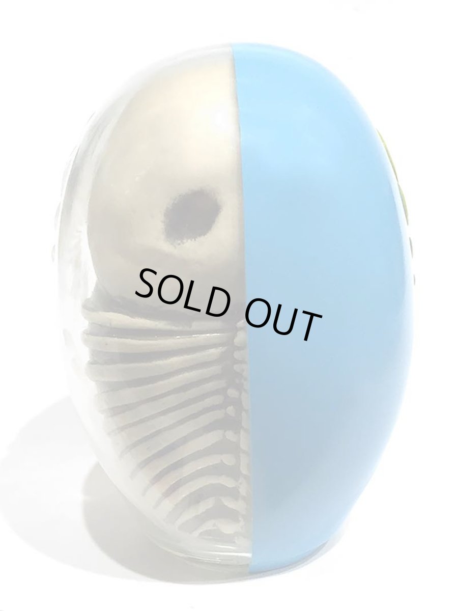 画像2: DARUMA SKULL X-RAY FULL COLOR BLUE (2)