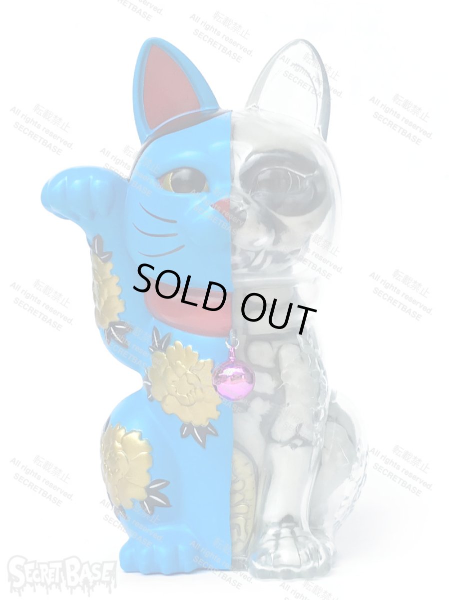 画像1: LUCKY CAT X-RAY FULL COLOR BLUE (1)