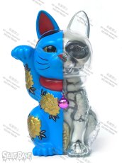 画像1: LUCKY CAT X-RAY FULL COLOR BLUE (1)