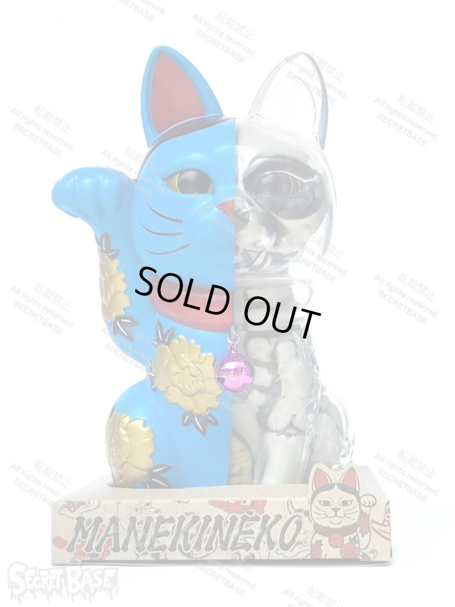 画像4: LUCKY CAT X-RAY FULL COLOR BLUE (4)