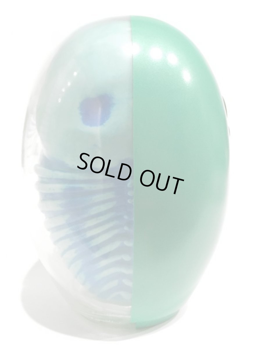 画像4: DARUMA SKULL X-RAY FULL COLOR GREEN (4)