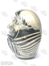 画像6: DARUMA SKULL X-RAY FULL COLOR　MATTE BLACK (6)