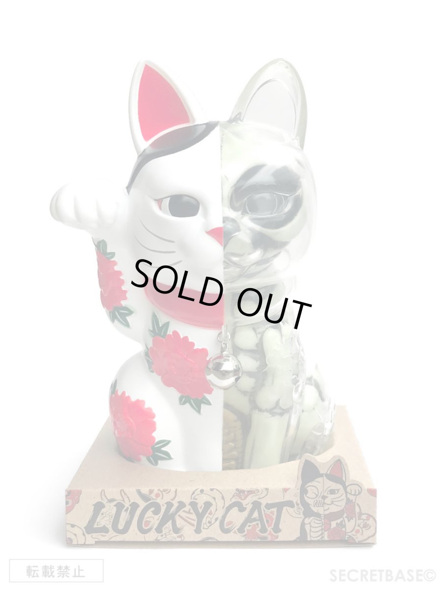 画像6: LUCKY CAT X-RAY FULL COLOR WHITE G.I.D (6)