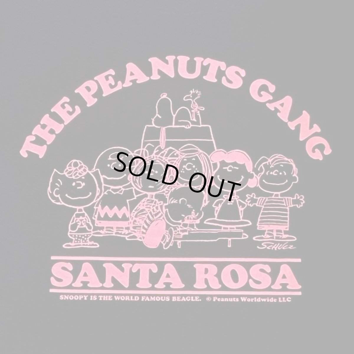 画像3: BUDDY別注 PEANUTS スヌーピー Tシャツ PEANUTS SECRETBASE限定カラー (3)