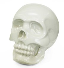 画像1: HASADHU SHINGON SKULL (1)