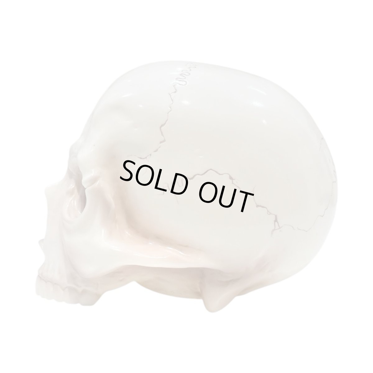 画像3: 1/1 SKULL HEAD Full color Rusty Brown Ver.  (3)