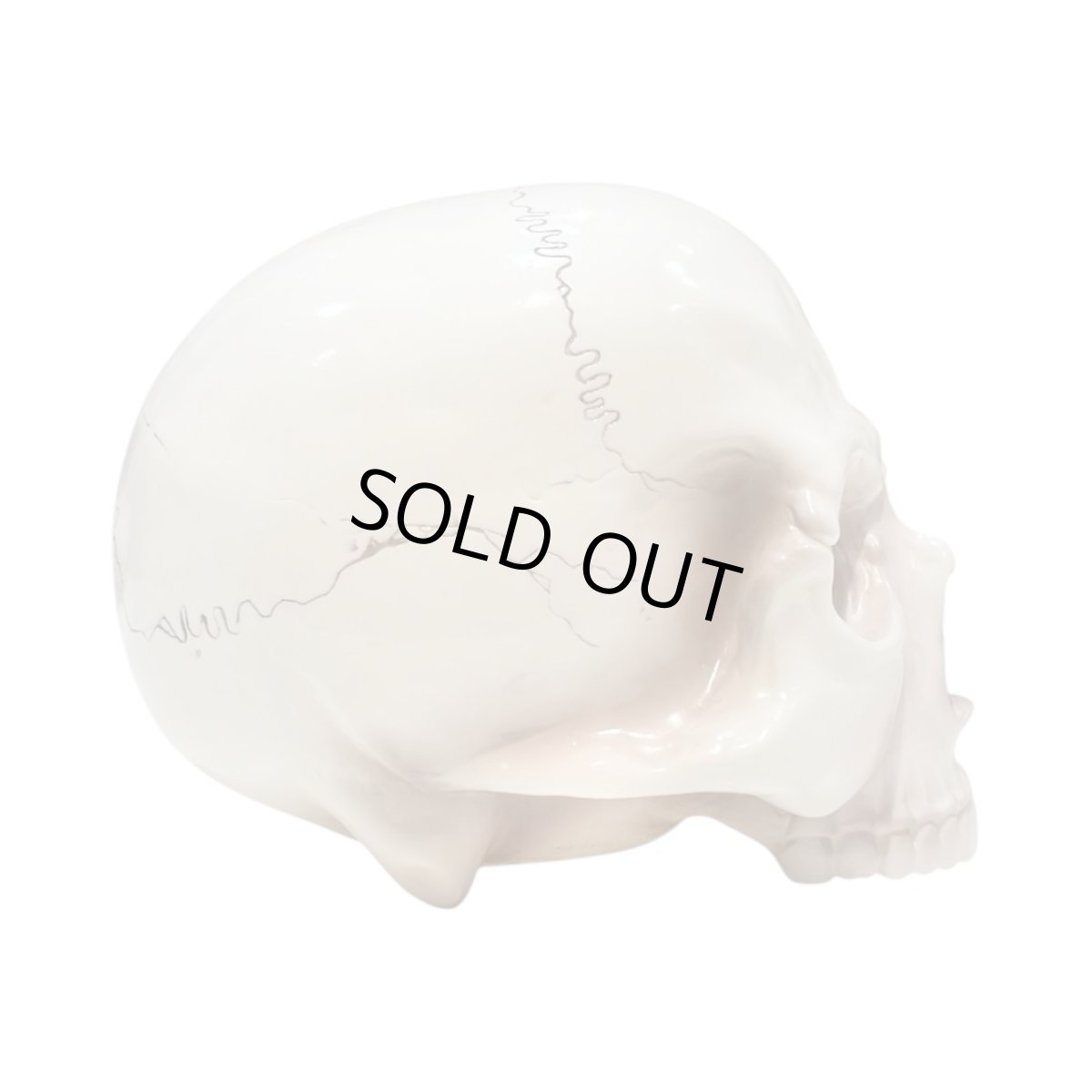 画像4: 1/1 SKULL HEAD Full color Rusty Brown Ver.  (4)