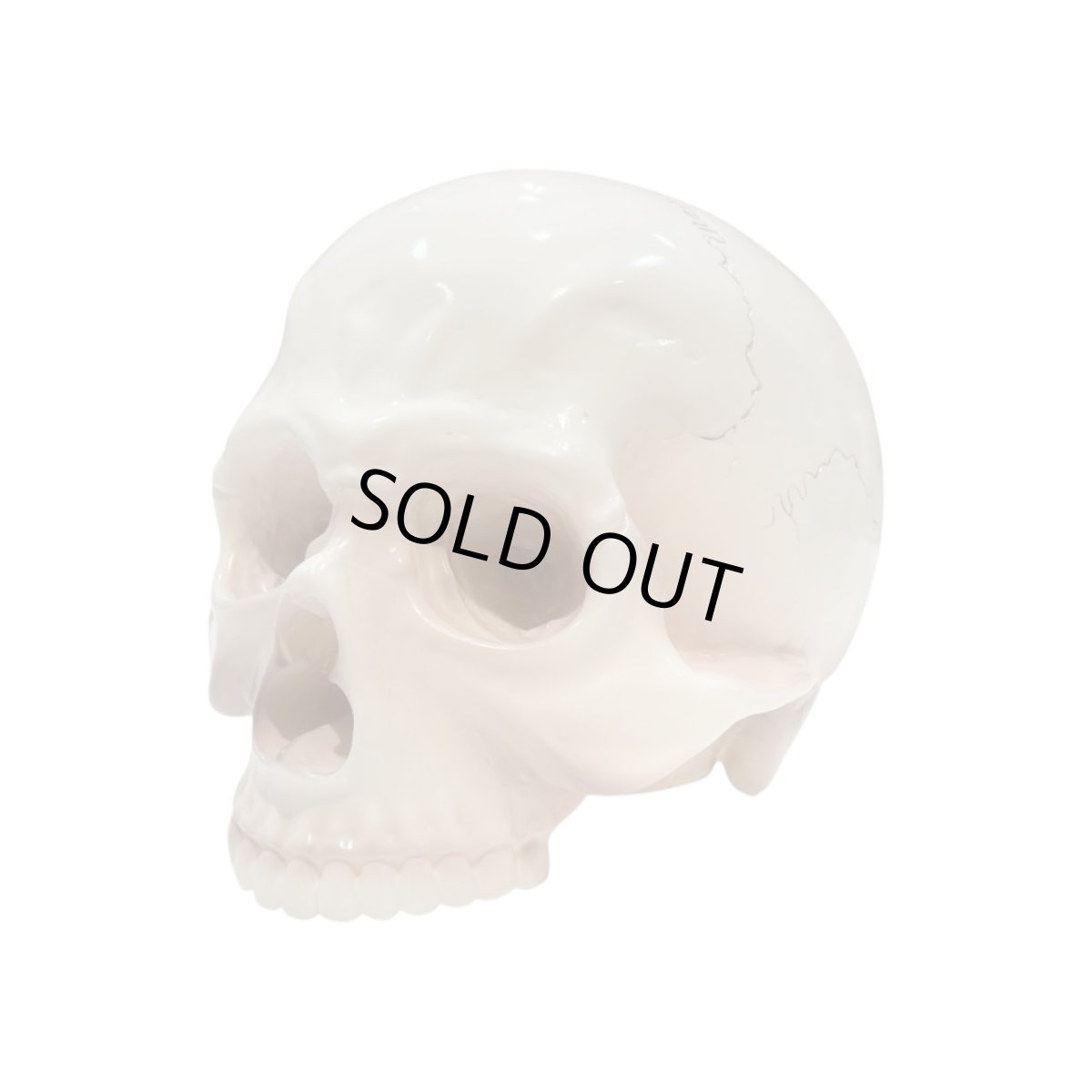 画像1: 1/1 SKULL HEAD Full color Rusty Brown Ver.  (1)