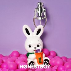 画像4: HONESTBOY×SECRET BASE Rabbit Figure "Roger"  (4)