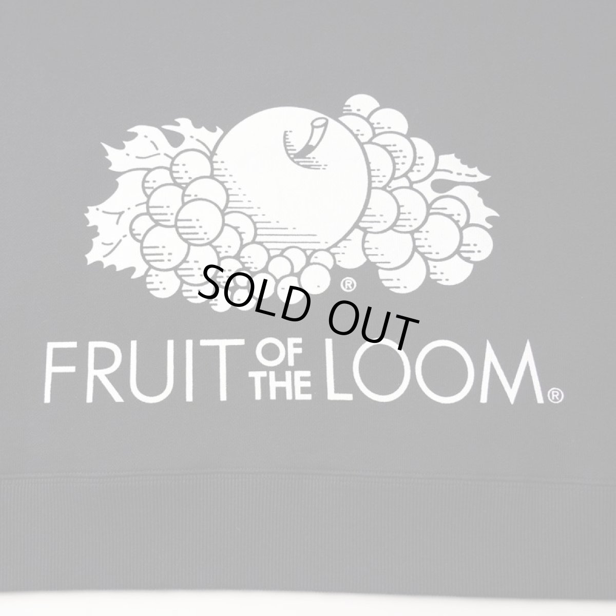 画像6: HONESTBOY×SECRET BASE×FRUIT OF THE LOOM Logo Rabbit Hoodie  BLACK (6)