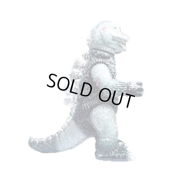 Lottery Sale / Not For Sale on this page ] BIG Scale X-Ray