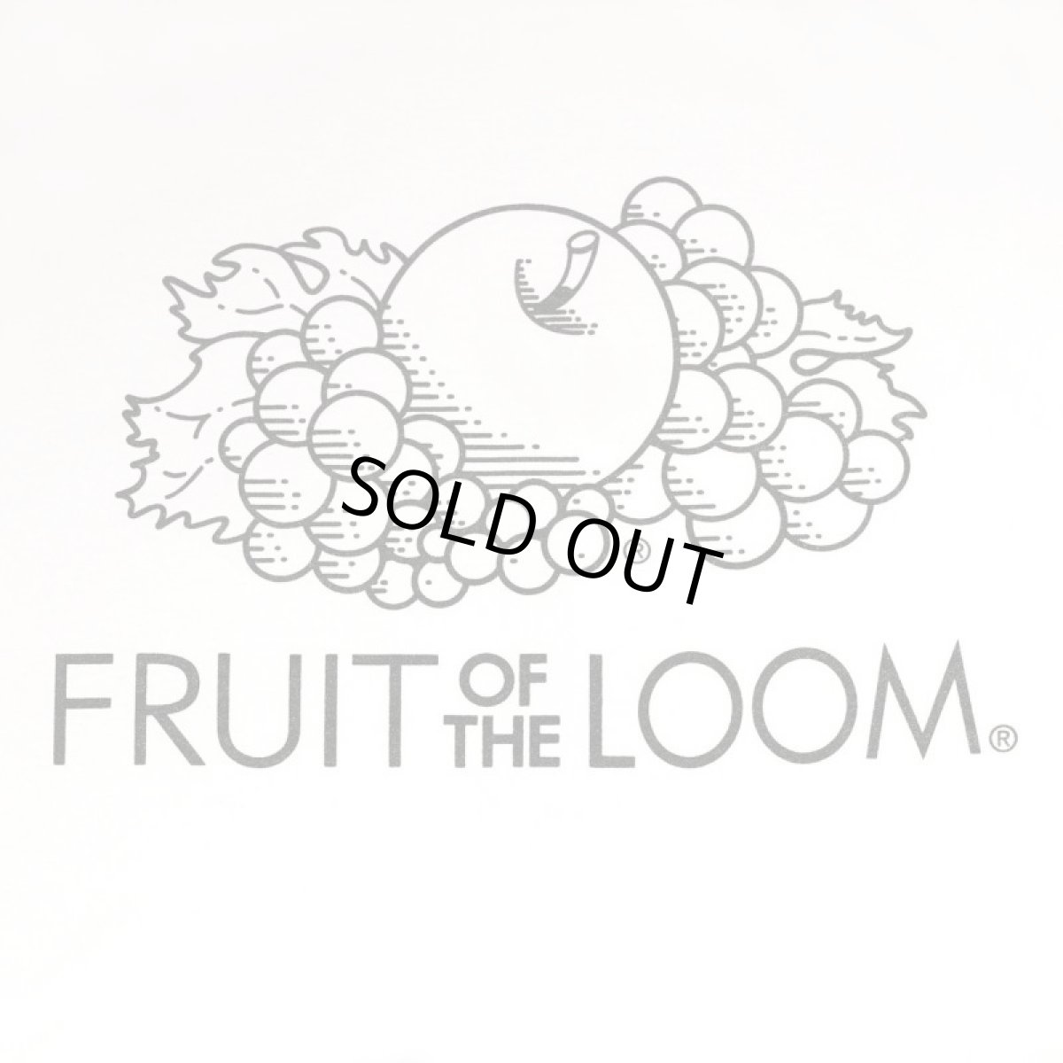 画像4: HONESTBOY×SECRET BASE×FRUIT OF THE LOOM Logo Rabbit SS Tee WHITE (4)