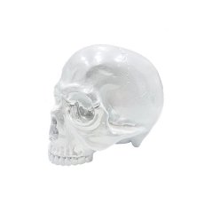 画像1: 1/1 SKULL HEAD CHROME White Ver.  (1)