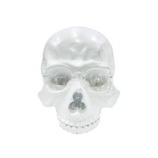 画像3: 1/1 SKULL HEAD CHROME White Ver.  (3)