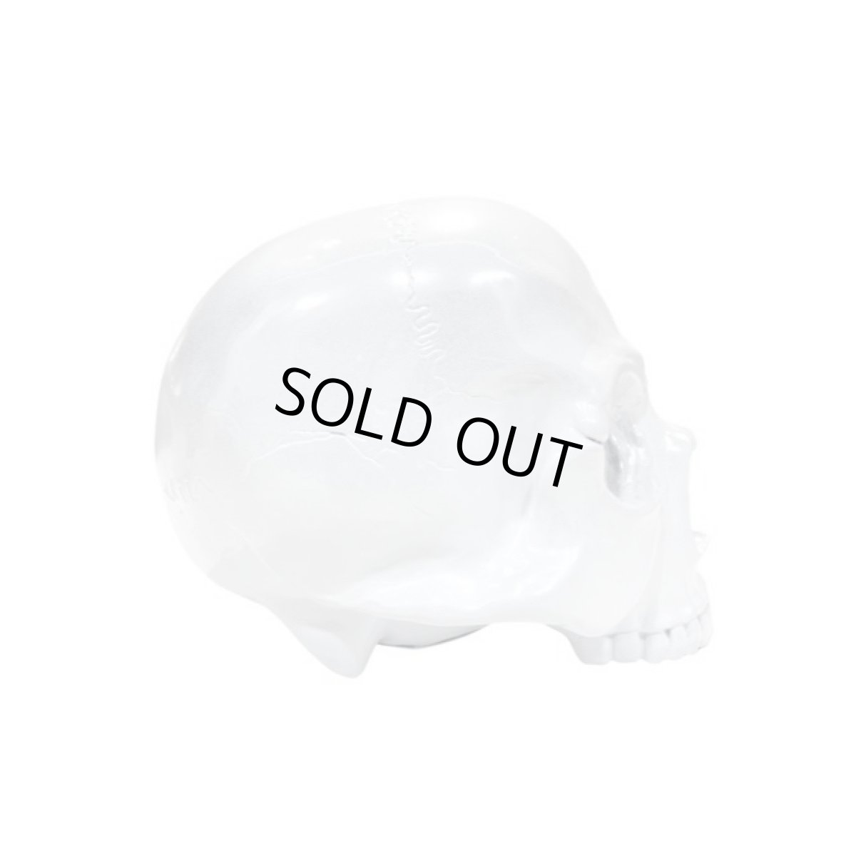 画像5: 1/1 SKULL HEAD CHROME White Ver.  (5)