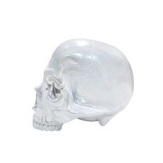 画像6: 1/1 SKULL HEAD CHROME White Ver.  (6)