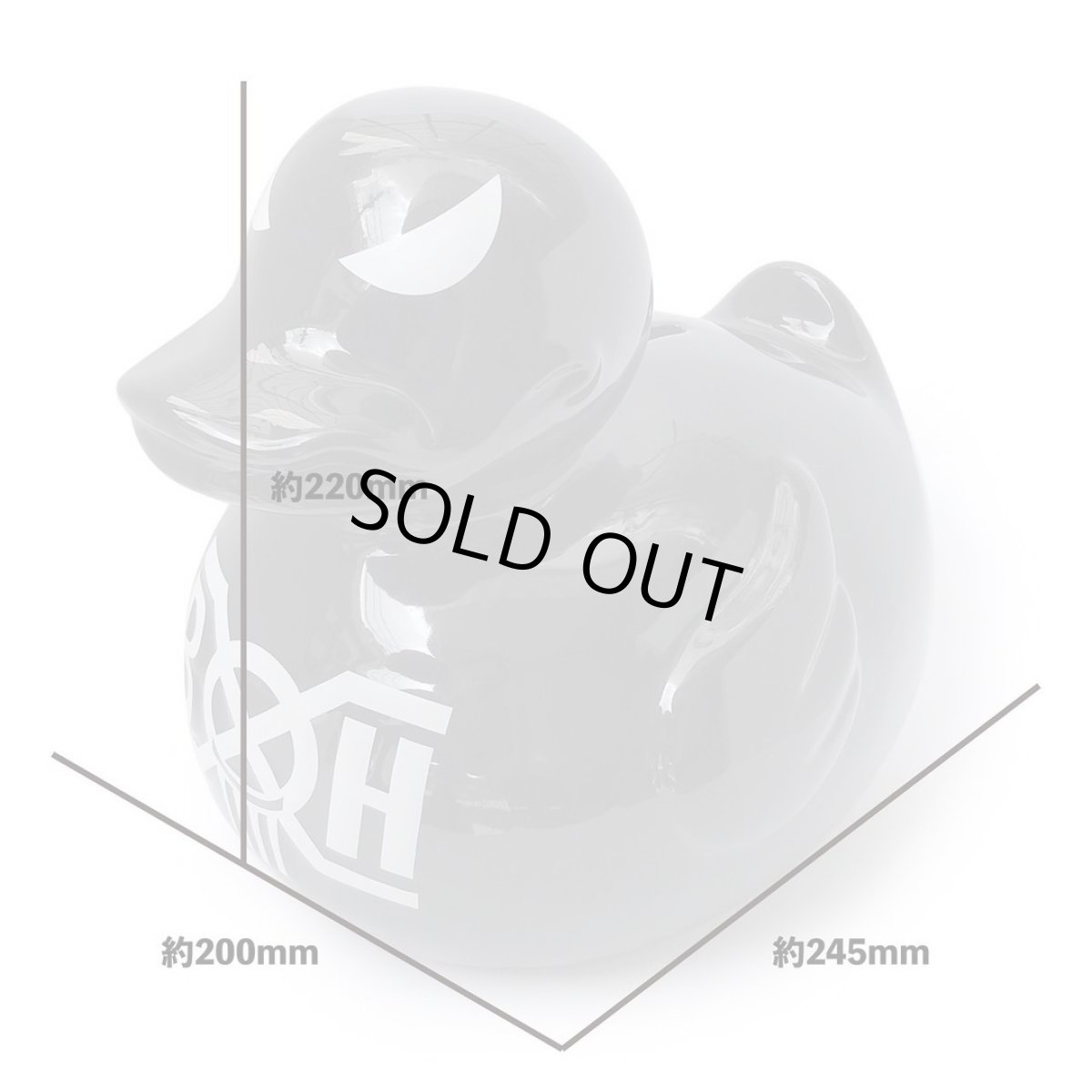 画像8: BOUNTY HUNTER   BIG AHIRU-KUN BANK Black (8)