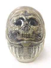 画像1: DARUMA SKULL (1)