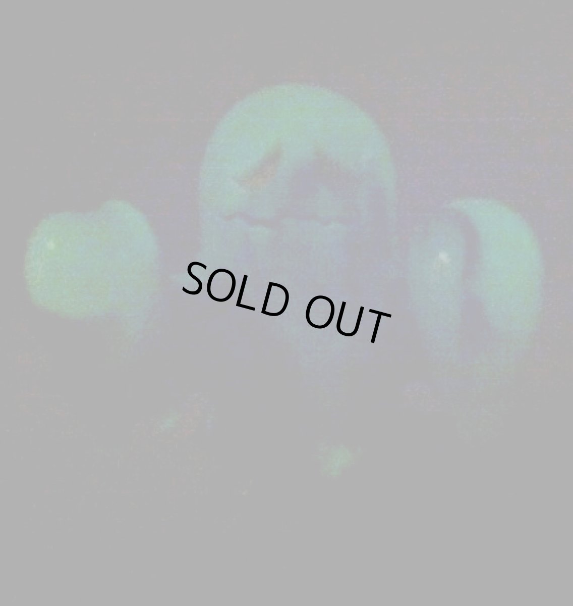 画像2: SKULL BxBxGHOST BROTHERS Normal Ver. (2)