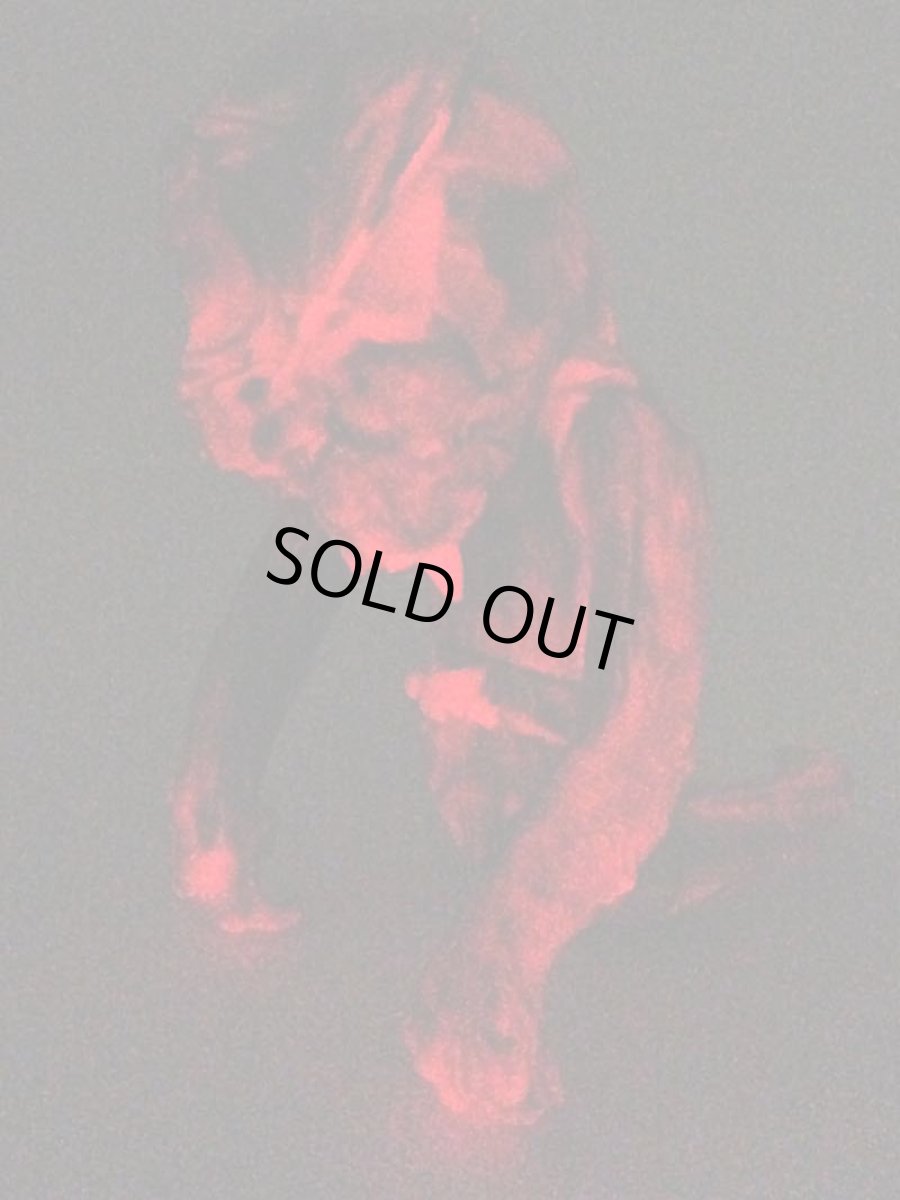 画像4: summm glohh frahm de blaastbeet trahjedee sslithherzz ze ghreyt skullORM MAY 24 2014  skullORM (the SkullPirateSerpent) marbHouse Vers created by pushead  sculpted by betch (4)