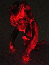 画像4: summm glohh frahm de blaastbeet trahjedee sslithherzz ze ghreyt skullORM MAY 24 2014  skullORM (the SkullPirateSerpent) marbHouse Vers created by pushead  sculpted by betch (4)