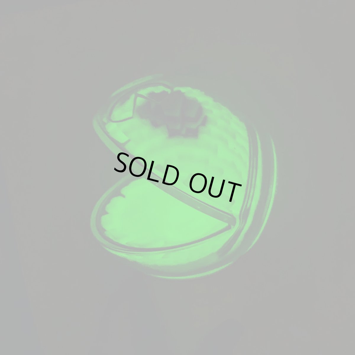 画像9: PAC-X-RAY G.I.D Ver. (9)