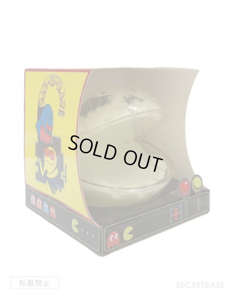 画像7: PAC-X-RAY G.I.D Ver. (7)