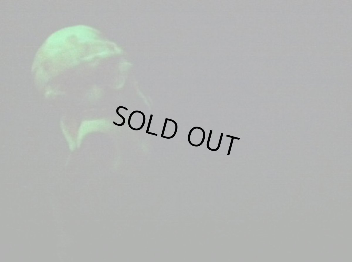 画像2: pumpkeen smashen SIAMESE grinnin furee HALLOWEEN 2011 matey (2)