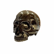 画像1: 1/1 SKULL HEAD CHROME DARK GREEN Ver. (1)