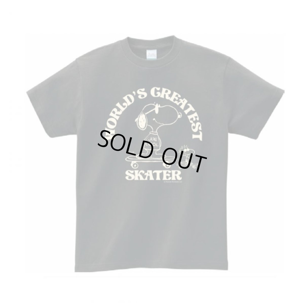 画像1: BUDDY 別注 PEANUTS スヌーピー JOE COOL Tシャツ WORLD'S GREATEST SKATER (1)