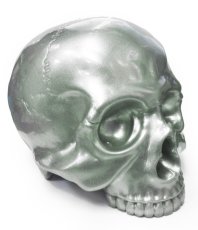 画像1: 1/1 SKULL HEAD SS SKULL (1)