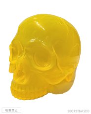 画像1: 1/1 SKULL HEAD CLEAR CLEAR  “MIKAN” ORANGE (1)